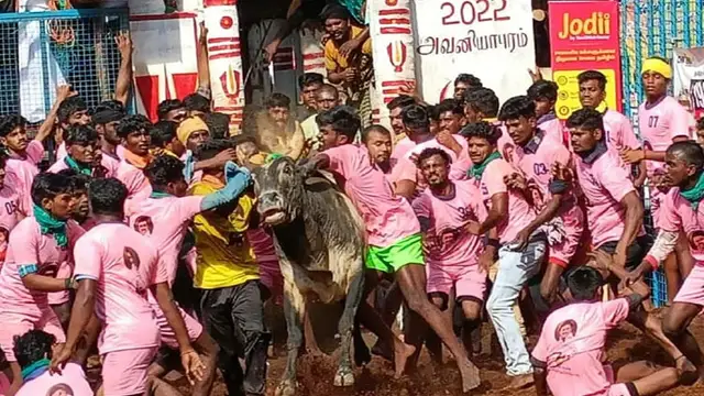 மாட்டின் அனுமதியின்றி நிகழும் இது விளையாட்டில்லை, வன்முறை - ஜல்லிக்கட்டை ஒழிக்க சொன்ன தாமரை