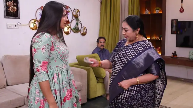மீனாவை வெறுத்து ஒதுக்கும் முத்து, ரோகினிக்கு அடைக்கலம் கொடுத்தாரா சிந்தாமணி? சிறகடிக்க ஆசை