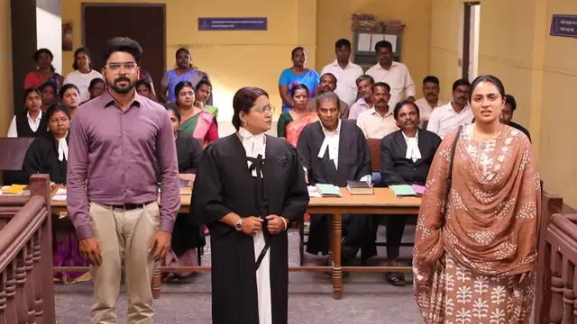 கோர்ட்டில் அந்தர் பல்டி அடித்த ரோகினி, நீத்துவால் ஸ்ருதி-ரவி வாழ்க்கையில் வீசும் சூறாவளி - சிறகடிக்க ஆசை