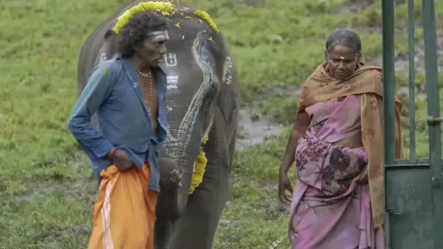 பொம்மன் பெல்லி பணத்தை ஏமாற்றினோமா - ஆஸ்கர் விருது வென்ற 'எலிபென்ட் விஸ்பரர்ஸ்' படக்குழுவின் விளக்கம்.