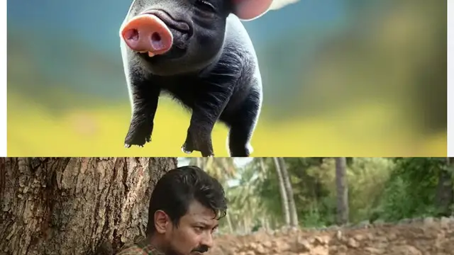 பூஜை அறையே இல்லாத மாரி செல்வராஜ் வீடு - அதற்கு பதிலாக என்ன இருகிறது தெரியுமா ? காரணத்தை கேட்டு வியந்துள்ளா உதயநிதி
