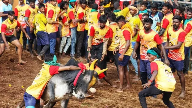 ஜல்லிக்கட்டு வீரர்கள் வைக்கும் அந்த கோரிக்கையை நிறைவேற்ற வேண்டும் - முதல்வருக்கு அமீர் கடிதம்.