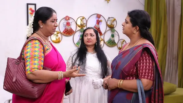 மீனாவின் புது பிசினஸால் சந்தோஷத்தில் இருக்கும் குடும்பம், ரோகினியின் மாஸ் என்ட்ரி - சிறகடிக்க ஆசை