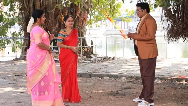 பேராசையால் கனவில் கோட்டை கட்டும் தாமரை, அப்பத்தாவின் பயம் - பரபரப்பில் சின்ன மருமகள்