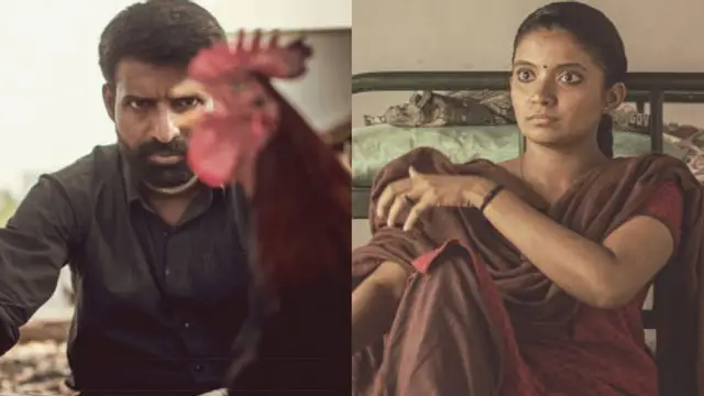 'கொட்டுக்காளி' திரையரங்குகளில் வெளியிட கூடாது என்று அமீர் சொன்னது தவறு- கொந்தளிக்கும் சினிமா ஆர்வலர்கள்