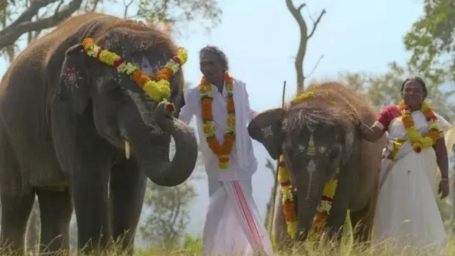 சிவகார்த்திகேயன் செய்த உதவியால் உயிர்பிழைத்த ‘தி எலிபெண்ட் விஸ்பெரர்ஸ்’ பட யானை - பலரும் அறிந்திடாத தகவல்