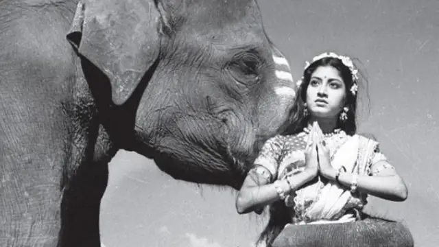 கொள்ளுப் பாட்டி முதல் பேத்தி வரை - ஒரே வீட்ல 4 தமிழ் ஹீரோயின்ஸ். அட, இந்த நடிகைகள் தானா ? தமிழ் சினிமாவை தன்வசம் வைத்திருந்த குடும்பம்