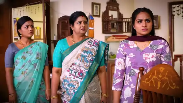 நாயகிக்கு கூட கிடைக்காத வாய்ப்பு - சிறகடிக்க ஆசை வில்லிக்கு அடித்த ஜாக்பாட்