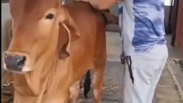 நகரத்தில் சம்பாதித்து கிராமத்தில் விவசாயம், மாடு வளர்ப்பு என்று சந்தோசமா வாழ்ந்து வரும் அர்ஜுன்
