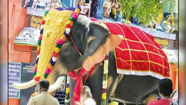விநாயகர் கோயிலுக்கு லட்ச கணக்கில் வாரி வழங்கிய நடிகை திரிஷா - மலர் தூவி பூஜை செய்த பக்தர்கள், பொதுமக்கள்