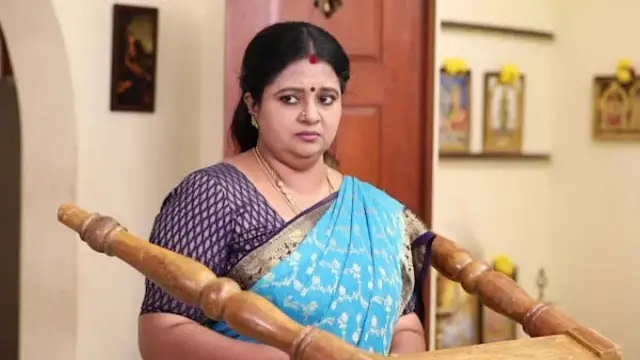 என்னது சிறகடிக்க ஆசை விஜயா மகனும் சீரியல் நடிகரா? அதுவும் விஜய் டிவி சீரியல் நடிகராமே.