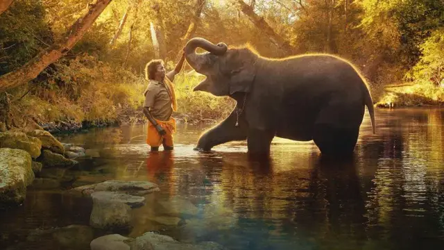 தாயை இழந்த இரண்டு குட்டி யானைகளை வளர்க்கும் தம்பதி' - 'The Elephant Whisperers' விமர்சனம் இதோ.