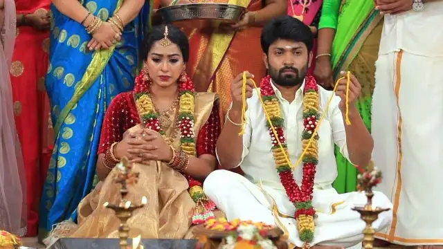 அடேங்கப்பா, ஈரமான ரோஜாவே 2 சீரியல் பிரியா இத்தனை படங்களில் நடித்துள்ளாரா?