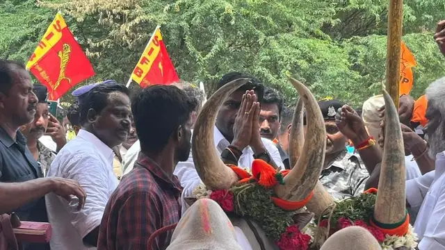 அண்ணாமலை கூட்டத்தில் திடீரென்று சீறிப் பாய்ந்த காளை. தப்பித்த அண்ணாமலை. வைரலாகும் வீடியோ.