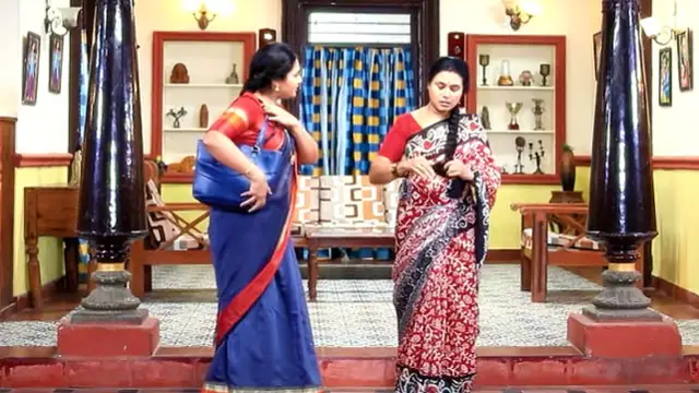 கோமதியிடம் உண்மையை சொல்ல வரும் மயில், மீனாவின் திட்டம் நிறைவேறியதா? பாண்டியன் ஸ்டோர்ஸ் 2