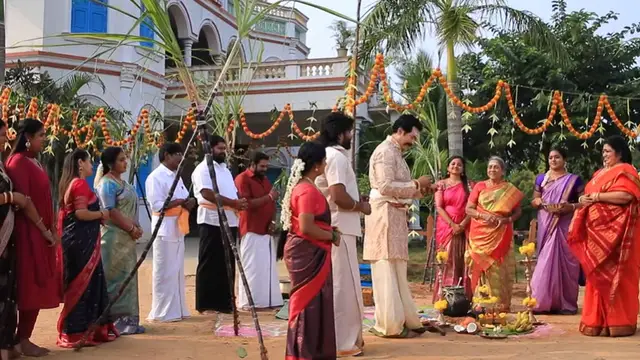 அமர்க்களமாக பொங்கல் பண்டிகையை கொண்டாடும் ராஜாங்கம் குடும்பம், மாஸ் காட்டும் சேது - சின்ன மருமகள்