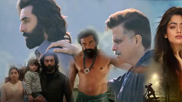 அந்த 10 செகண்ட் தான் அவங்களுக்கு தெரியும். ஆனால் - அனிமல் படம் குறித்த விமர்சனத்திற்கு ராஷ்மிகா கொடுத்த பதிலடி